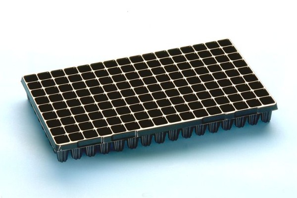 Seed starting tray for trees, palms 144 holes 52.5x30.5x6.0cm